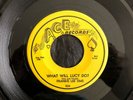 Frankie Lee Sims, Ace 524, What Will Lucy Do & Misery Blues, Excellent blues