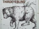 Ursa Major by Third Eye Blind (Splatter Colored Vinyl LP, 2009, Mega Collider)