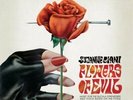 SUZANNE CIANI - Flowers Of Evil - LP Finders Keepers
