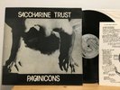  SACCHARINE TRUST Paganicons EP original SST Pagan Icons punk 12-inch