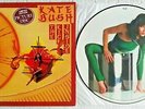 KATE BUSH - The Kick Inside - Rare UK Picture Disc LP EMI EMCP 3223  NEAR MINT