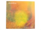 Slowdive - Holding Our Breath 12