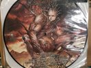 Cannibal Corpse Bloodthirst Picture Disc Lmt Ed Vinyl NM US 2013