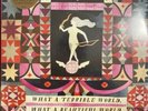 The Decemberists - What a Terrible World: What a Beautiful World [New Vinyl]