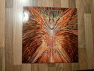 Cynic Vinyl LP Focus NL 1993 Excellent+/Excellent