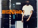 BIG NOYD - EPISODES OF A HUSTLA US ORG LP MOBB DEEP