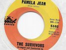 The Survivors (Brian Wilson) 