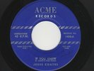 '50s C&W Bopper/RAB Gtr Break JESSE COATES I Meant It When I Said ACME M- HEAR