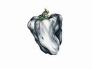 WEEN: WHITE PEPPER (LP vinyl *BRAND NEW*.)