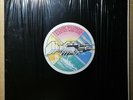 Pink Floyd WISH YOU WHERE HERE Vinyl 1980 Italy Press RARE LP (Black Cover) NM