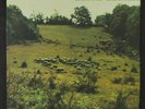 POPOL VUH: Letzte Tage - Letzte Nachte LP (Germany, re) Rock & Pop