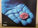 Coldplay - The Blue Room EP 12”