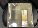 Jonathan RICHMAN LP-because her beauty is raw and Wild 1-453180