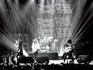 Cheap Trick “Are You Ready Live 12/31/1979 “ 2LP Legends