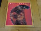 Blackfoot ?Strikes Vinyl LP Record 1979 Atlantic ?Ricky Medlocke Lynyrd Skynyrd