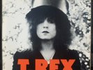 Scarce Original T.Rex The Slider - 1972 Reprise Release - VG++ Vinyl