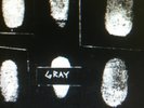 Gray - Shades Of - Jean-Michel Basquiat Kool Keith Todd Rundgren