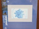 NEW Seefeel Quique LP Vinyl Reissue OBI Strip Sealed Medical Records