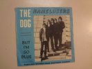 NAMELOSERS: The Dog- But I’m So Blue- Sweden 7