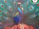 OPETH - SORCERES 10