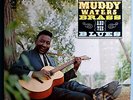 MUDDY WATERS MUDDY, BRASS & BLUES RARE ORIG '66 CHESS STEREO LP 1A/1A VERY NICE