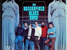 BUTTERFIELD BLUES BAND w/MIKE BLOOMFIELD EAST-WEST RARE ORIG '67 ELEKTRA LP NM