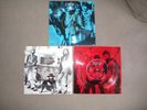 BEATLES 3 x  US Flexis Capitol Evatone Promo 1962-66 1967-70 und Weißes Album