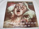 LP Disastrous Murmur * Rhapsodies In Red * 1992