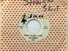 GENE SUMMERS Straight Skirt/School of Rock 'N Roll ROCKABILLY 2-sider 45 *hear*