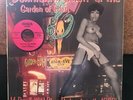 VARIOUS DOWNTOWN ROCKIN' AT THE GARDEN OF EDEN ROCK N ROLL VINYL COMPILATION LP