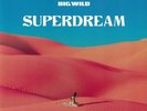 BIG WILD - Superdream - Vinyl (blue vinyl LP + MP3 download code)
