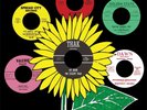 MIND DESTRUCTION MAXIMUM GARAGE PSYCH VOL. 1    6X7