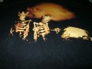 Pearl Jam Riot Act 1st Press E2 86825 double Epic 2 x LP Inner W/Booklet vinyl