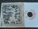 Rose Garden promo only PS EP-225