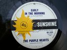 PURPLE HEARTS--JUST A LITTLE BIT--SUNSHINE 1448--1966 AUSSIE GARAGE--UGLY THINGS