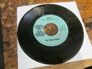 WILD THINGS Acid 45 BLUE ONION garage psych Ohio VG+ RARE nice