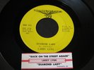 Larry Lynn   Diamond Lady   Mammoth   bonehead fuzz / hard rock psych 45 HEAR