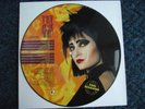 Siouxsie and The Banshees - Peel Sessions - original 1991 picture disc vinyl LP