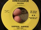 Garage Psych The Loved Ones Surprise Surprise Rare 45 Ambassador