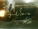 Chess - signed by Benny Andersson, Björn Ulvaeus and Tim Rice - double vinyl LP