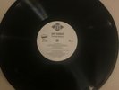 Ant Banks - The Big Badass (Vinyl LP, Album, Promo) Jive Records
