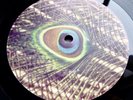 THE BLUETONES Expecting To Fly 1996 UK ORIGIANL LP w/INNER + INSERT MINT