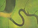 LP 33 Dead Can Dance The Serpent's Egg Contempo Records ‎Conte 12 ITALY 1988