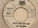 northern soul 45 THE VOLUMES Gotta Give Her Love  AMERICAN ARTS listen