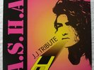 ASHA 'JJ TRIBUTE' ITALIAN HOUSE SASHA ORIGINAL 12'' 1990 VINYL 
