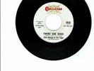 Chris Morgan & The Togas Garage Rock 45 (CHALLENGE 59330) There She Goes PROMO