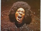 Funkadelic ?Maggot Brain Westbound Records ?Vinyl LP EX Direct Metal Master
