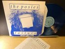 The Posies: Failure (M-  1989 PopLLama PL2323 BLUE WAX LP) Insert