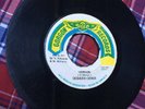 Very Rare Roots Tribulation is a must Desmond Demus Killer Dub Steppers Listen