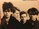 Echo and the bunnymen self titled vinyl lp Sealed Awesome Record Perfect Gift